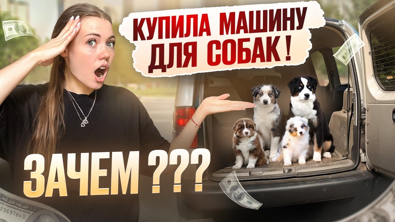Я ПОТРАТИЛА ПОСЛЕДНИЕ ДЕНЬГИ.. НО ТЕПЕРЬ У МЕНЯ ДВЕ МАШИНЫ 🙉