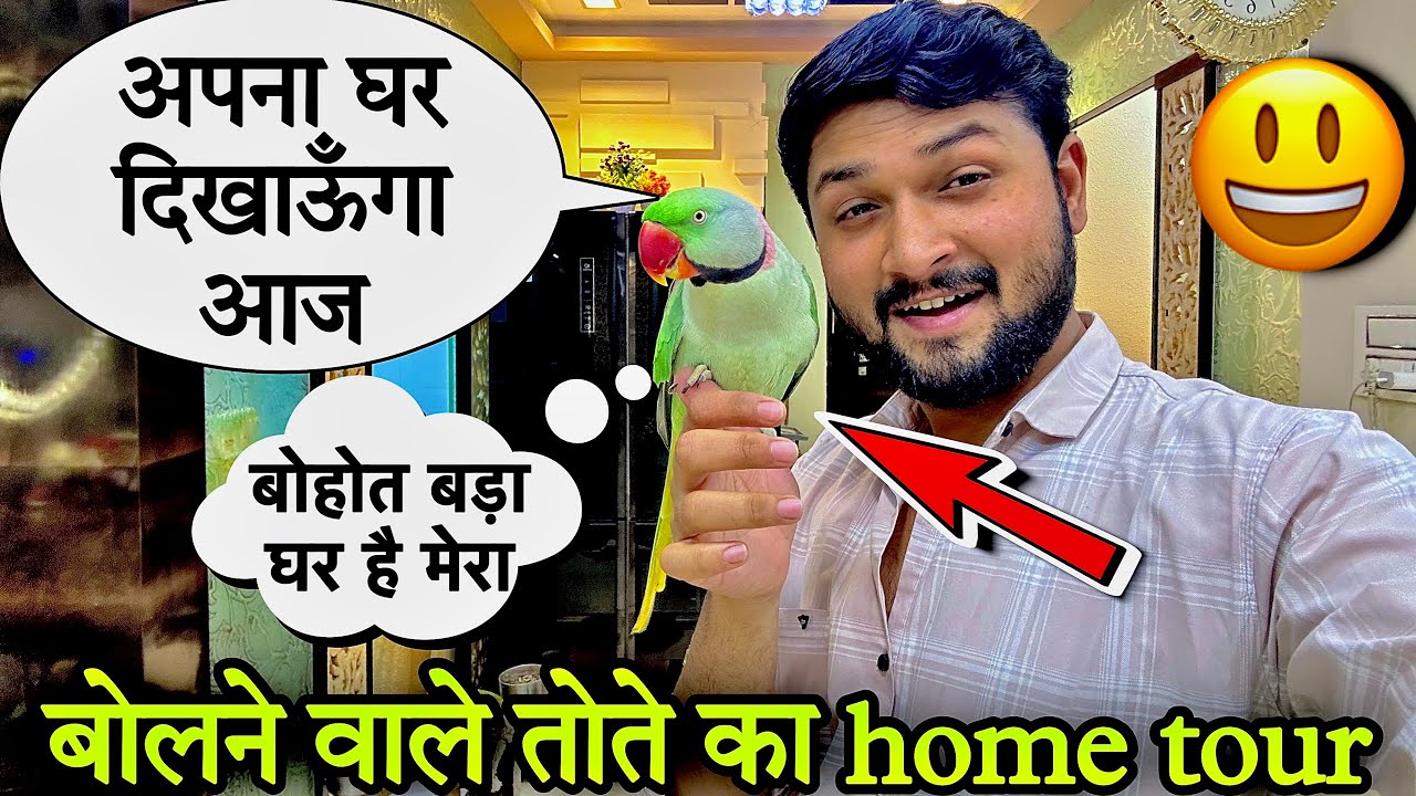 बोलने वाले तोते का आलीशान घर 😳😱#bolnewalatota #talkingparrot #तोता #petslover #animallover #birds