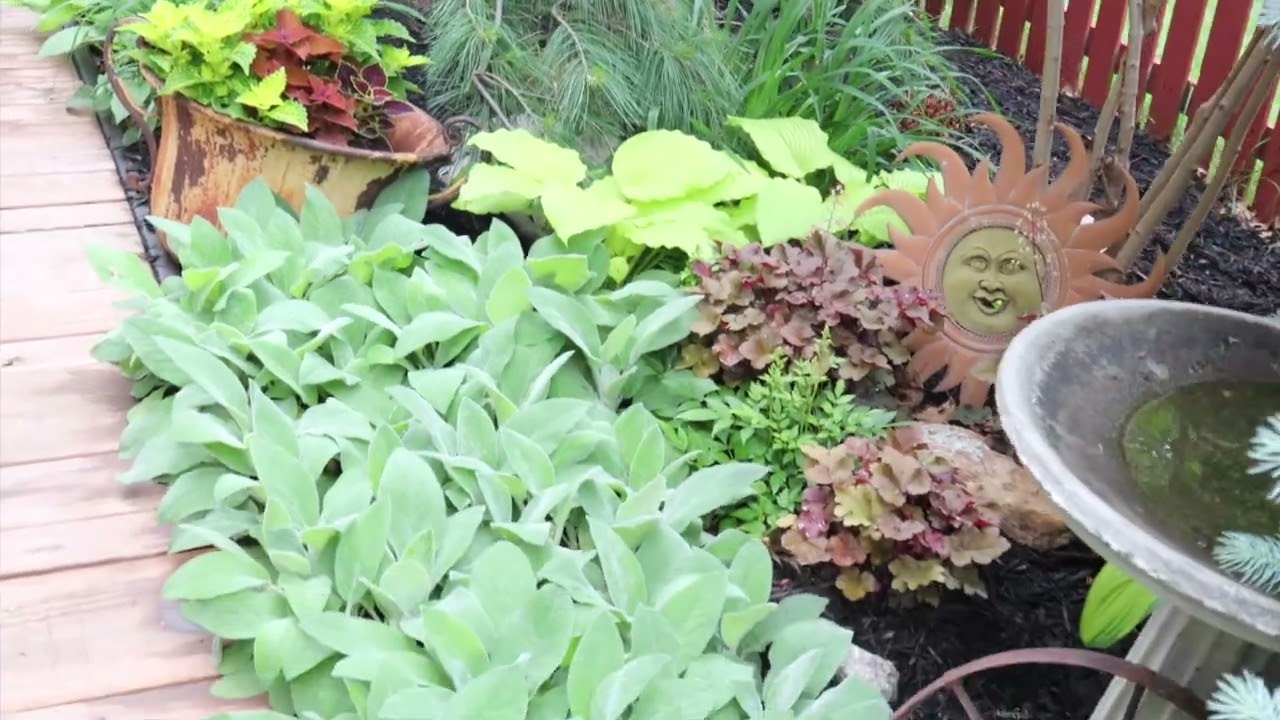 A Whimsical Accent Wall//Planting a Japanese Bloodgood, Hostas & Switch Grass