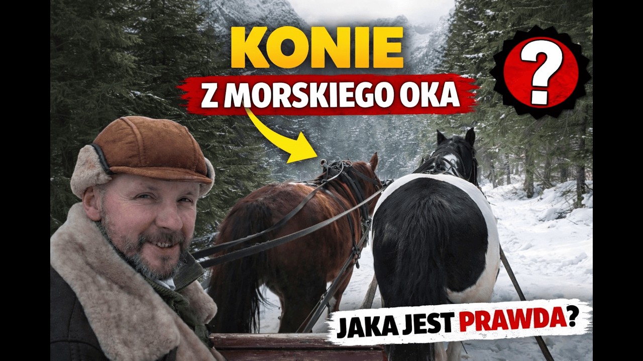 Konie z Morskiego Oka – jaka jest prawda? Styczeń 2026