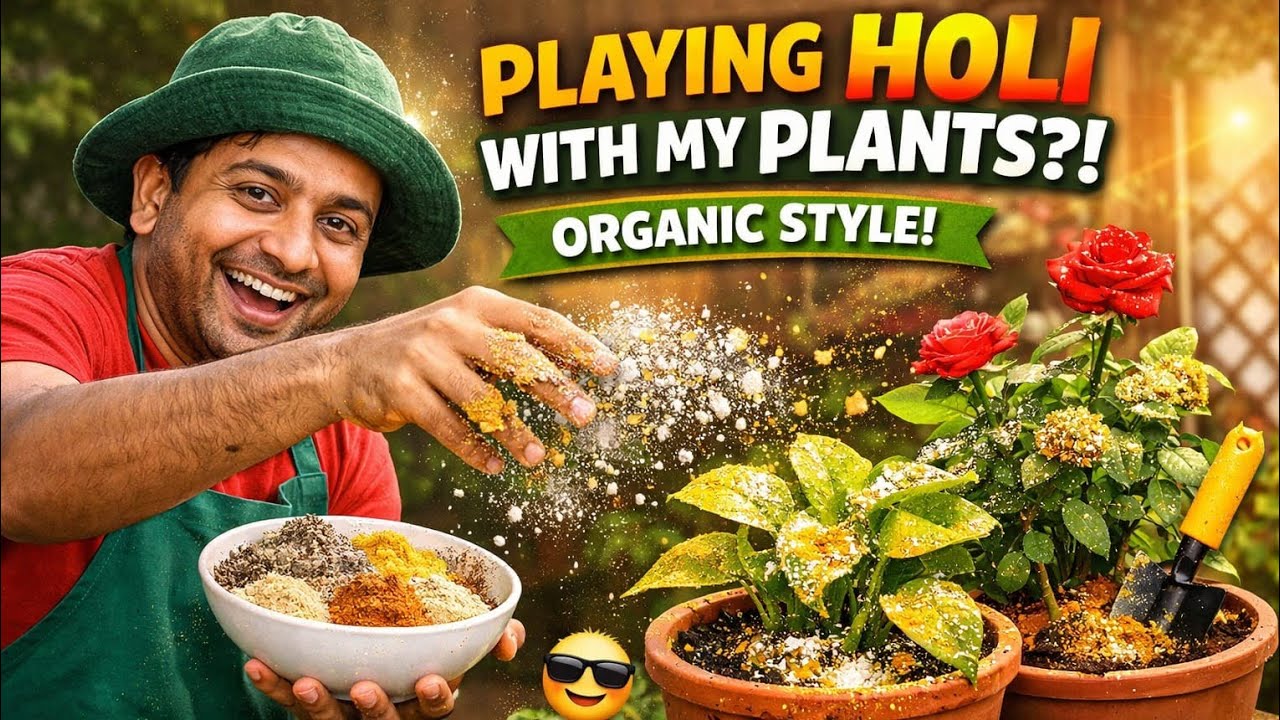 🛑Playing Holi With My Plants?! 🌿😂 | Organic Holi Special