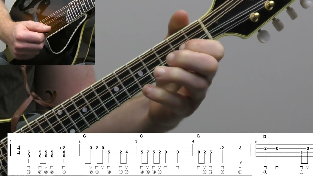 Shove The Pig's Foot A Little Further Into The Fire | Beginner Mandolin Lesson With Tab