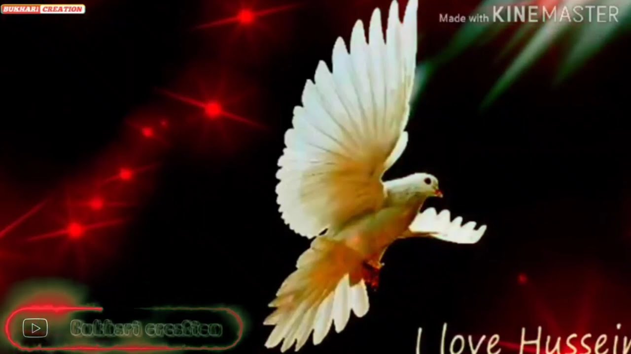 New Kutchi Osani  | haye haye bibiyou sha hussaina aaya Osani | New Osani Kachi