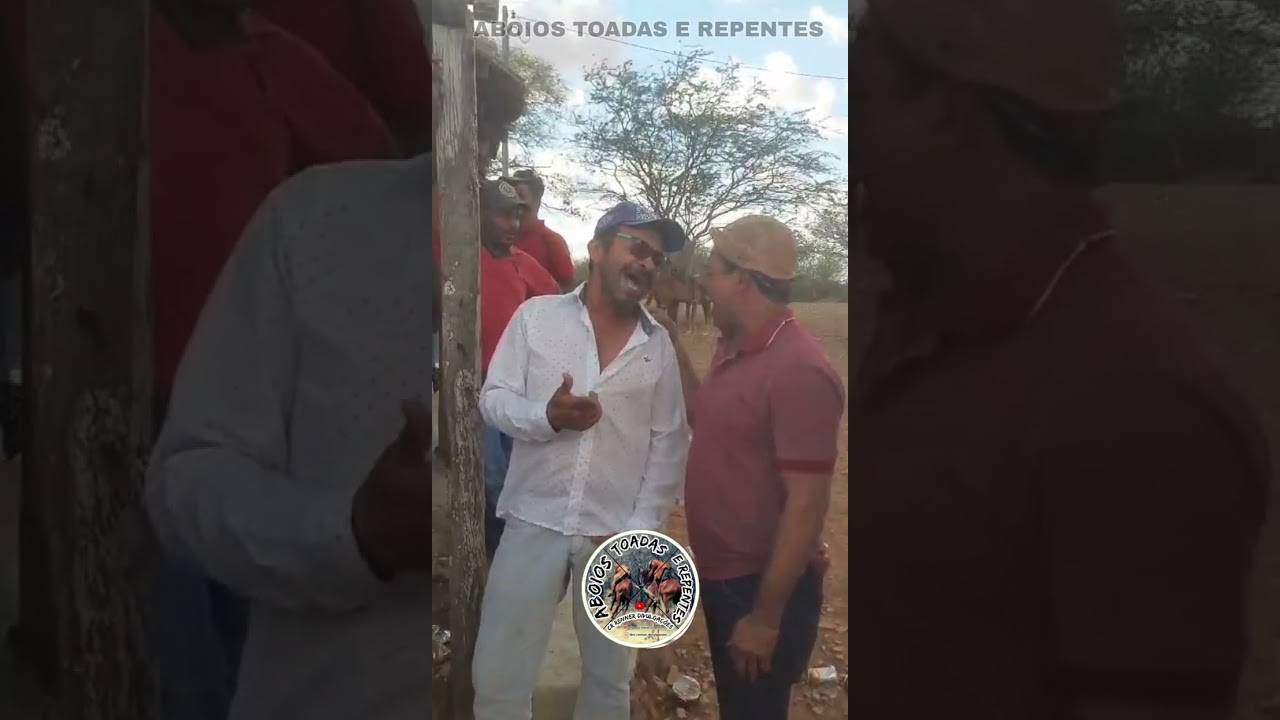 Niltinho e Branco Toada da Vaca Balancinha