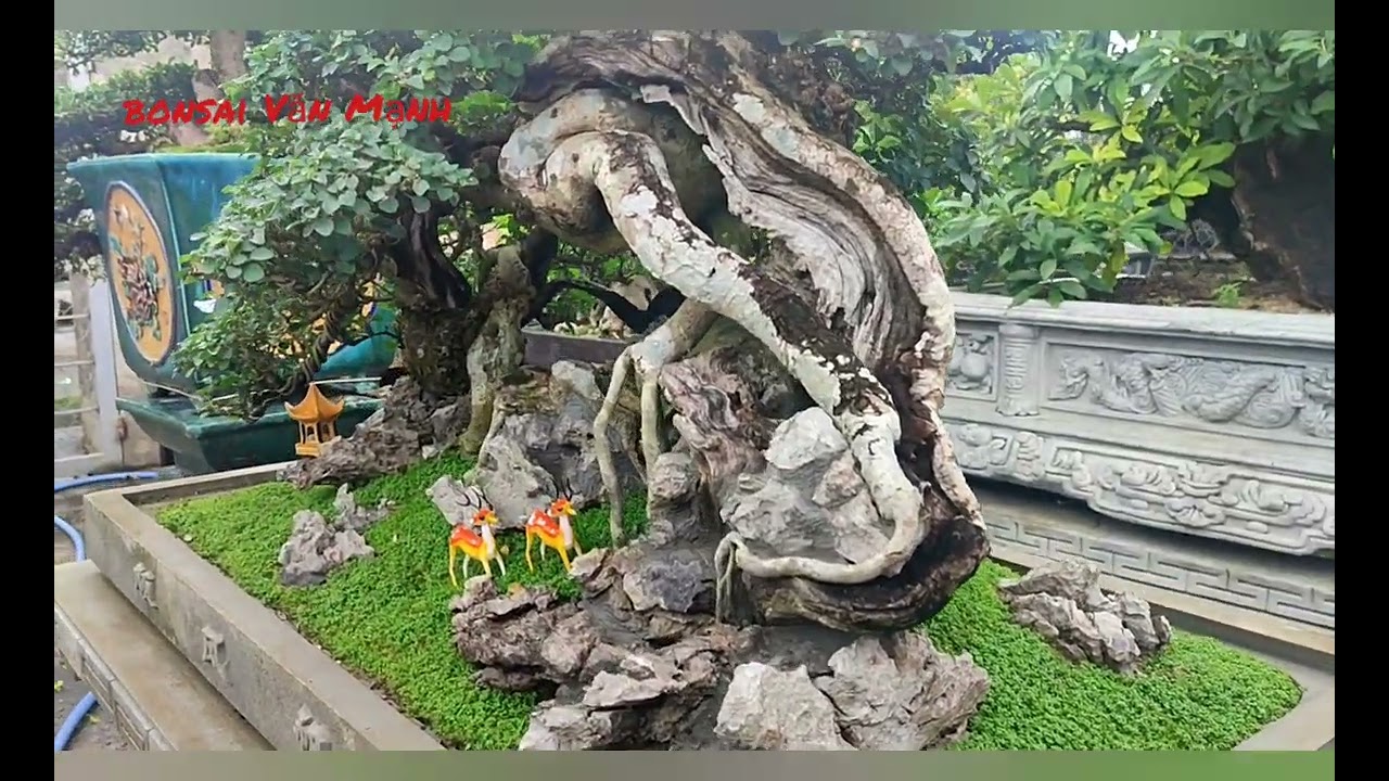 tiểu cảnh