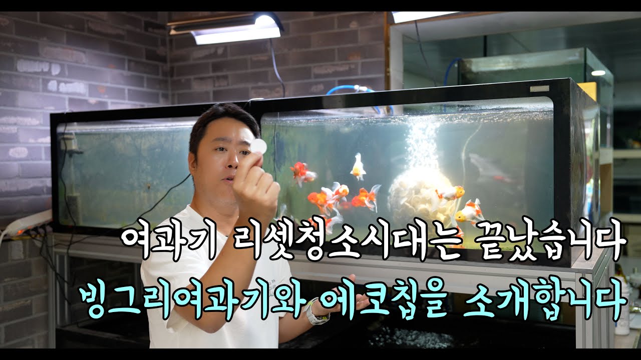 이제 물깨졌다고 여과기 리셋청소하는 시대는 끝났습니다. 빙그리여과기와 에코칩을 소개합니다!