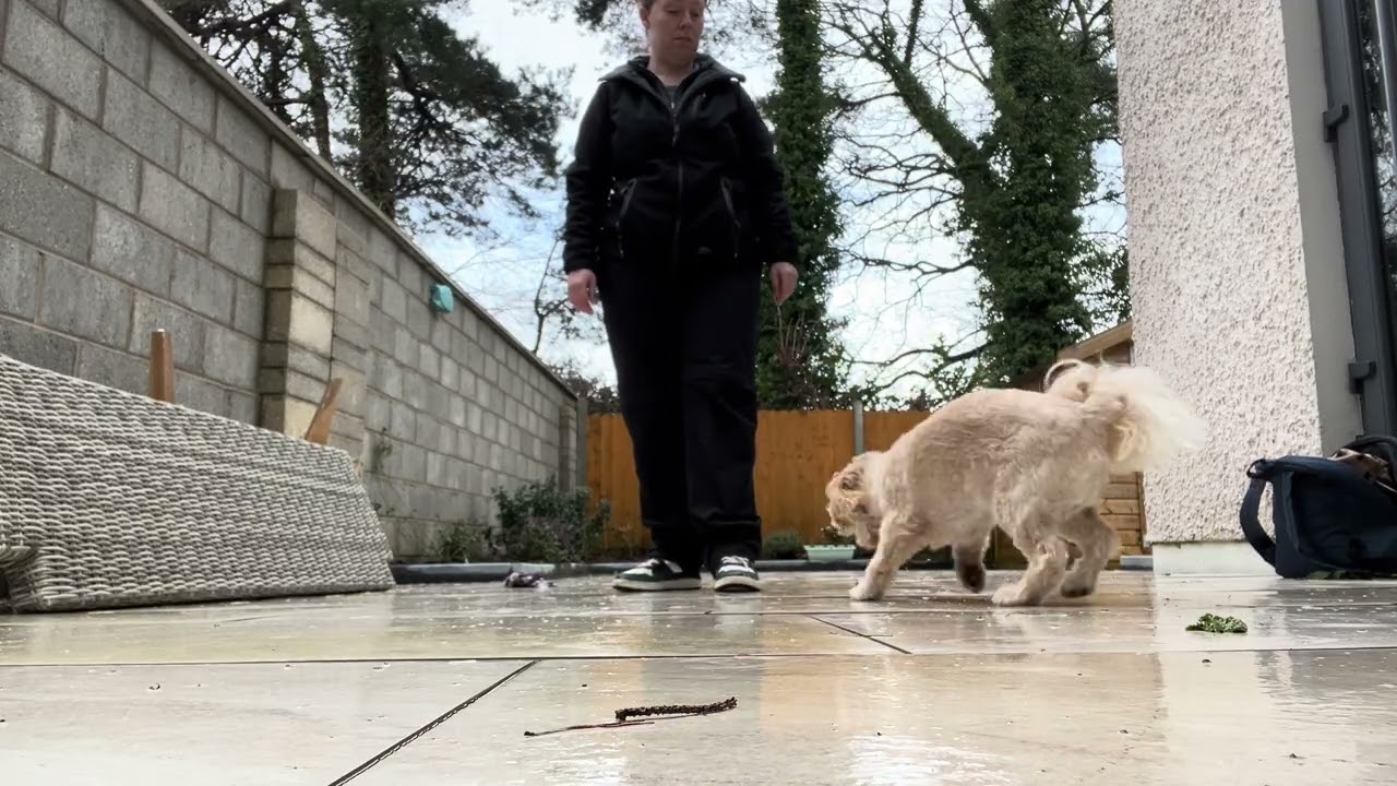 Toby spin 18.02.26