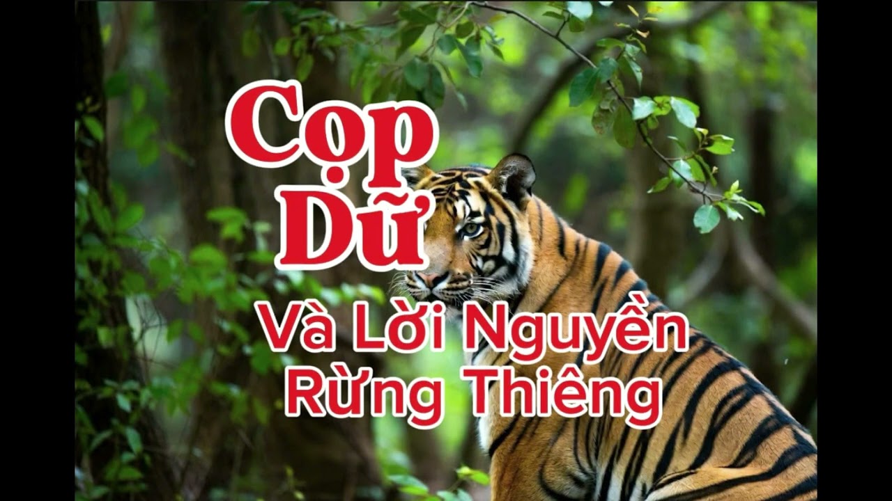 CỌP DỮ VÀ LỜI NGUYỀN RỪNG THIÊNG | Lê Anh diễn đọc