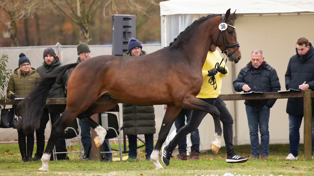 San Valentino *2022 v. Secret Game - Rock Forever I - Lanciano - Florestan I