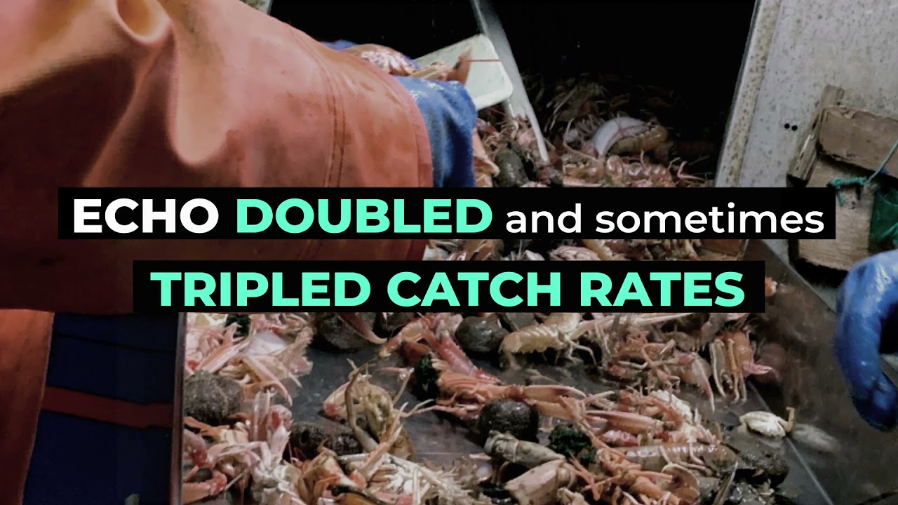 Notus ECHO Helps Captains Discover the 'Sweet Spot' for Norwegian Lobster
