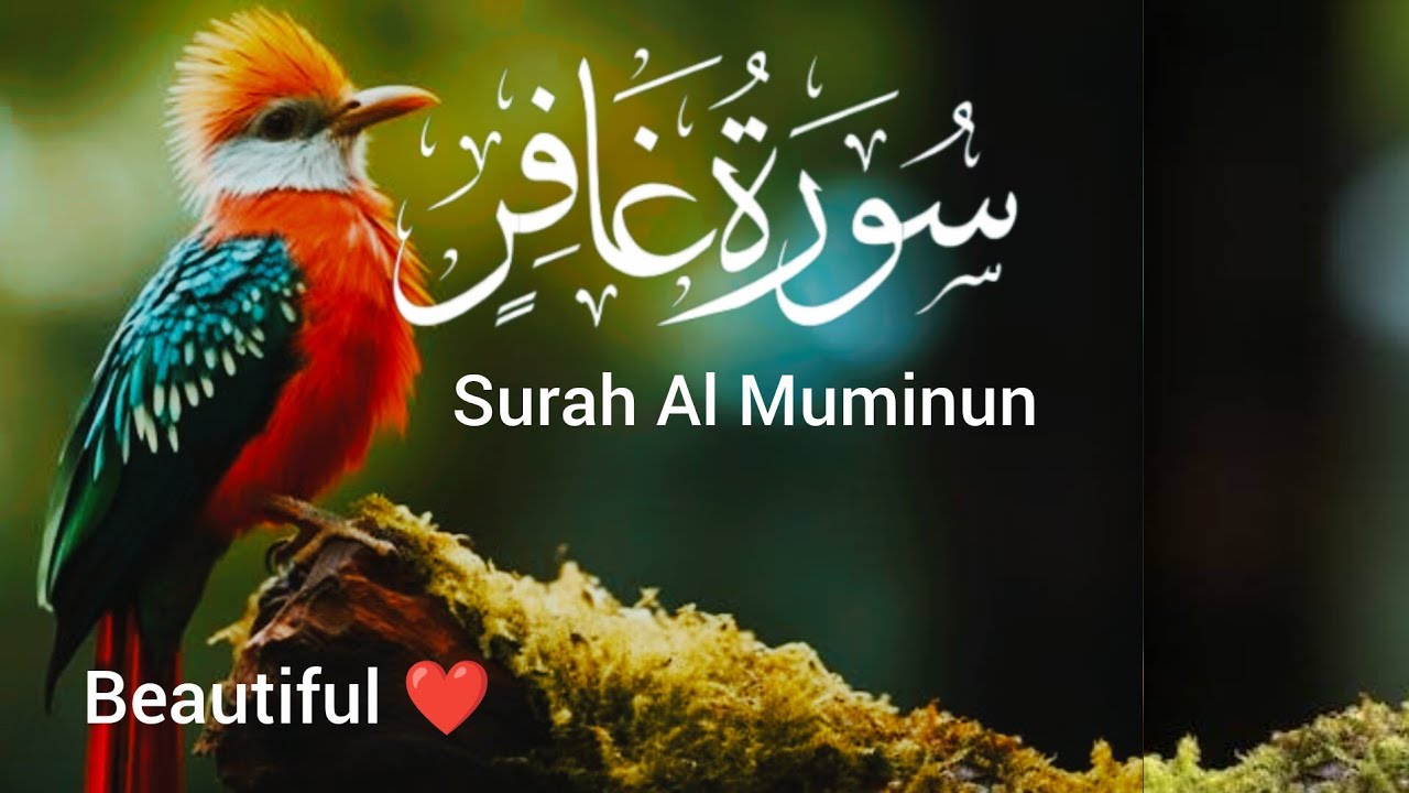 Surah Al Muminun ( سورۃ غافر ) quran Kareem tilawat Hafiz Javed beautiful video 