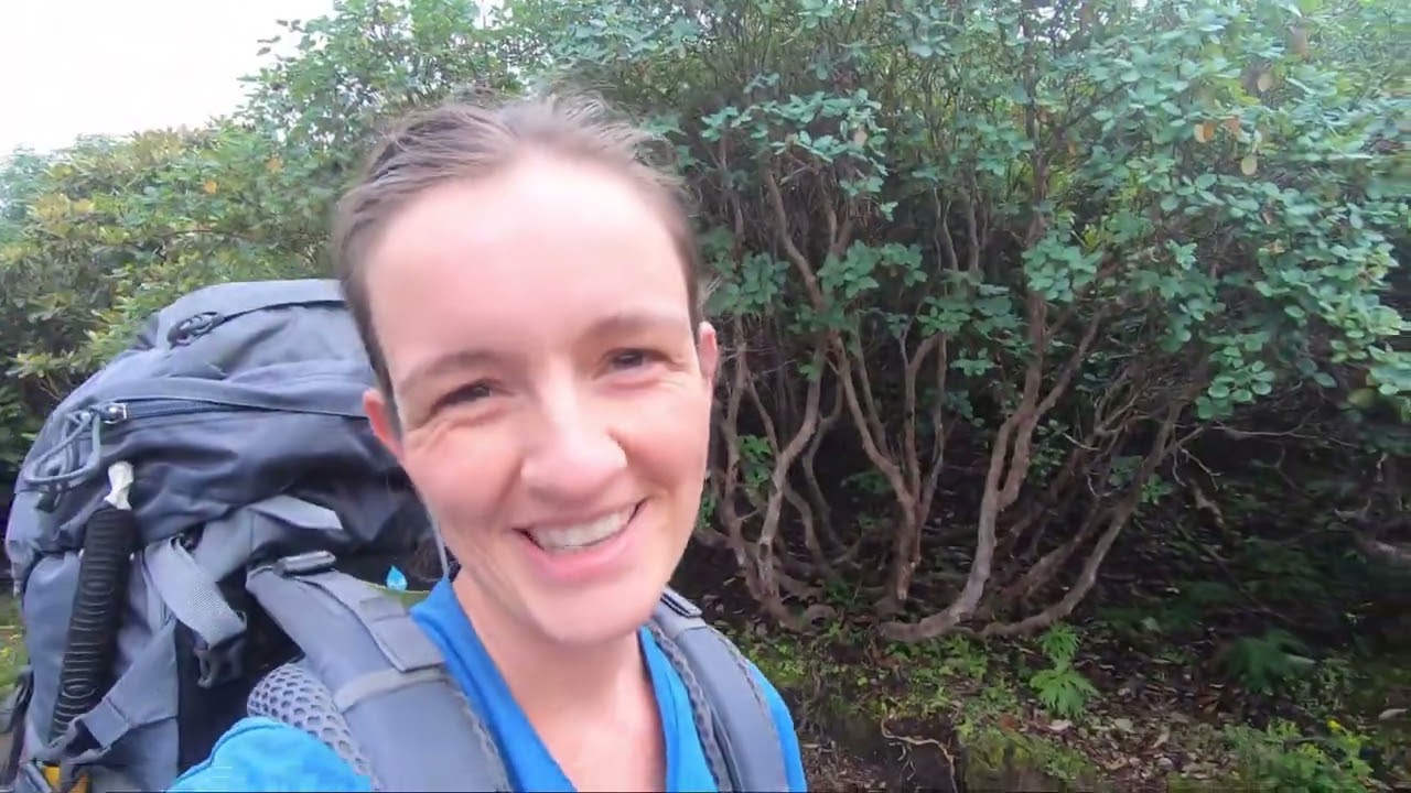 Sherpani col - Amphu Labsta - Tashi Labsta part 2
