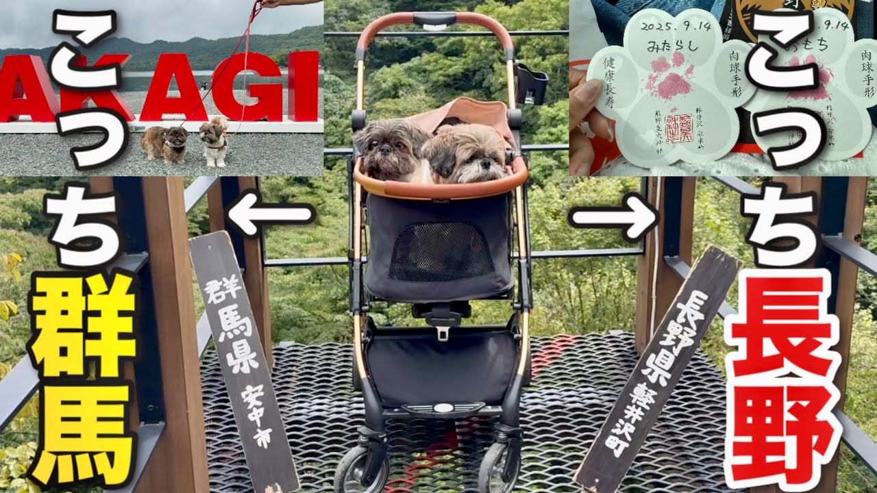【犬連れ車中泊旅】長野と群馬を一気に楽しむ！創業350年しげの屋/熊野皇大神社/赤城大沼
