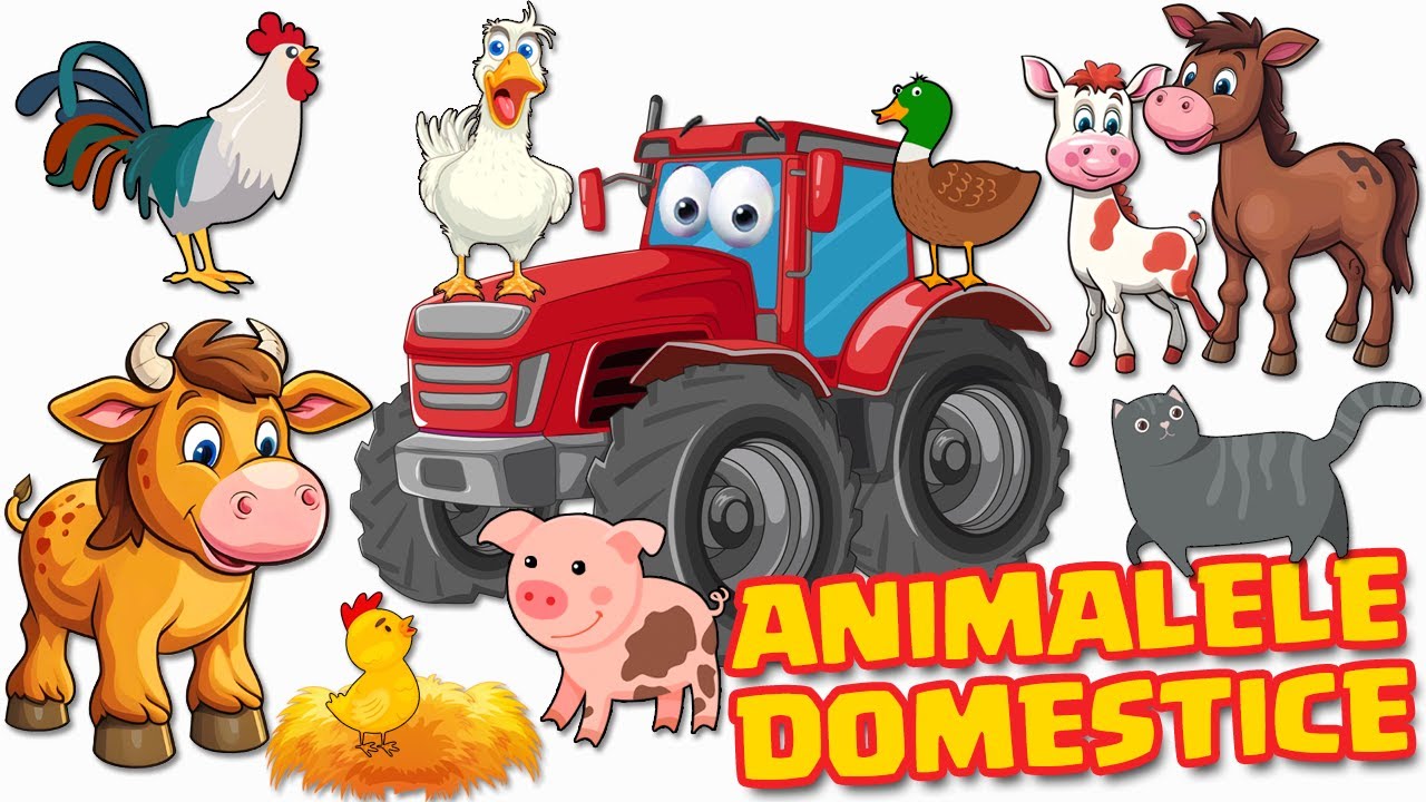 Animale Domestice pentru copii - la Ferma Animalelor - Colectie animatii educationale