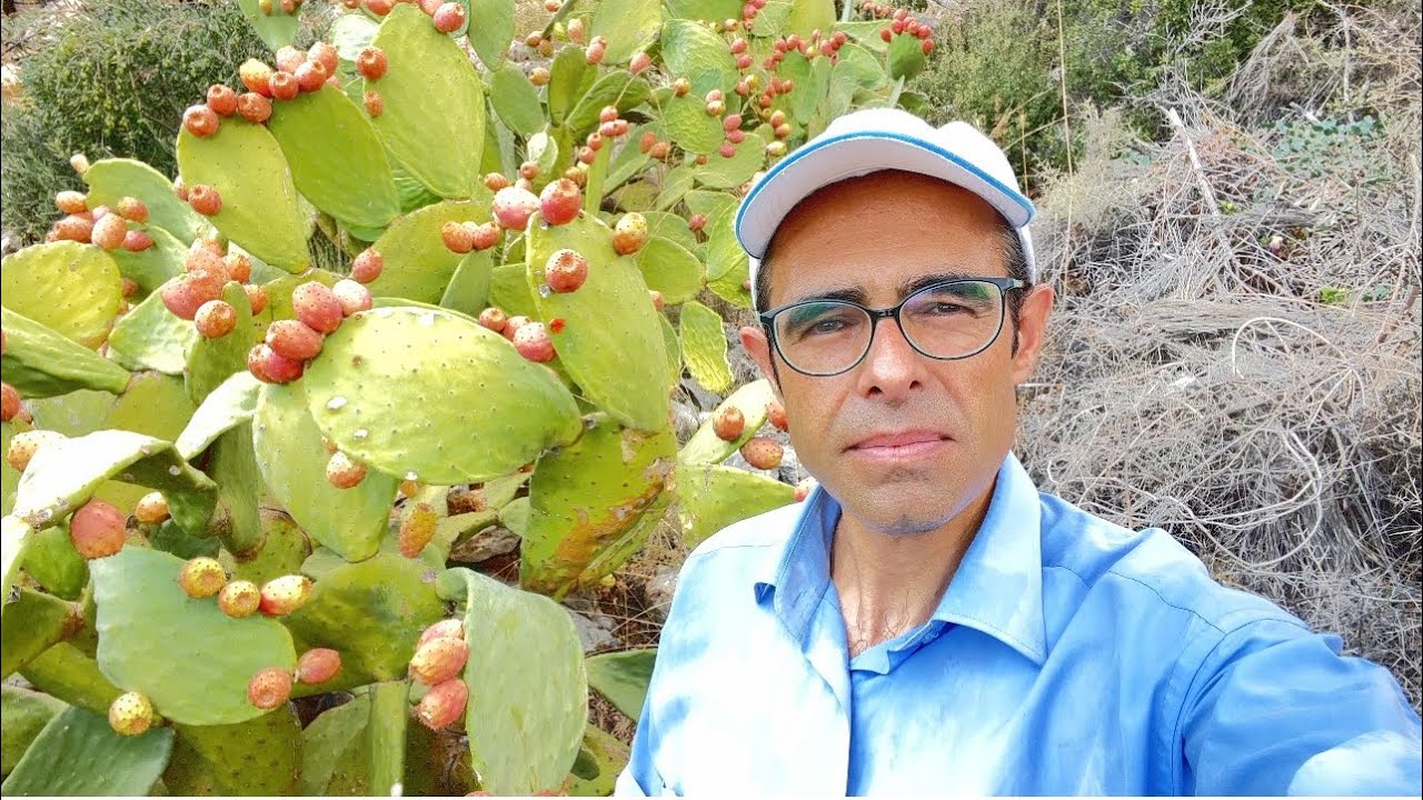 Kaktüsün şifası ile sizde tanışın 🌵