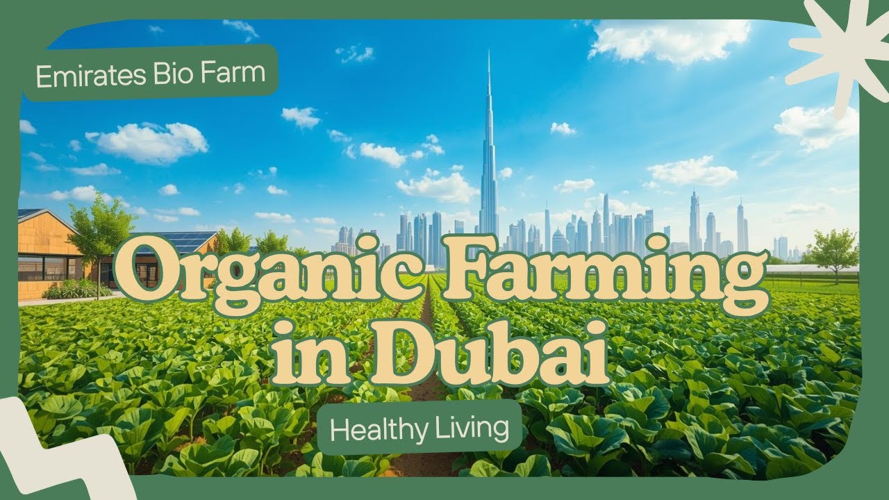 Emirates Bio Farm Organic Farming, Sustainability & Healthy Living I UAE tourism & farm experiences
