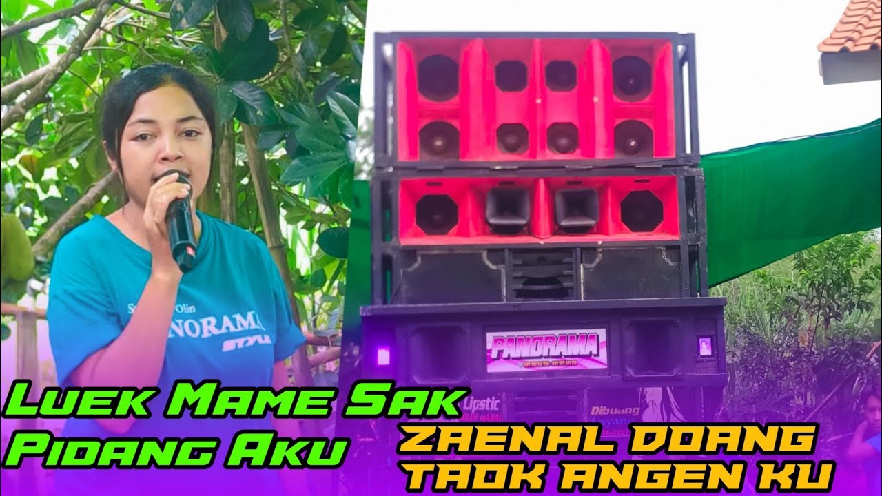 LAGU SASAK VIRAL || ZAENAL ZAENAL || PANORAMA STYLE FEAT SULASTRI 