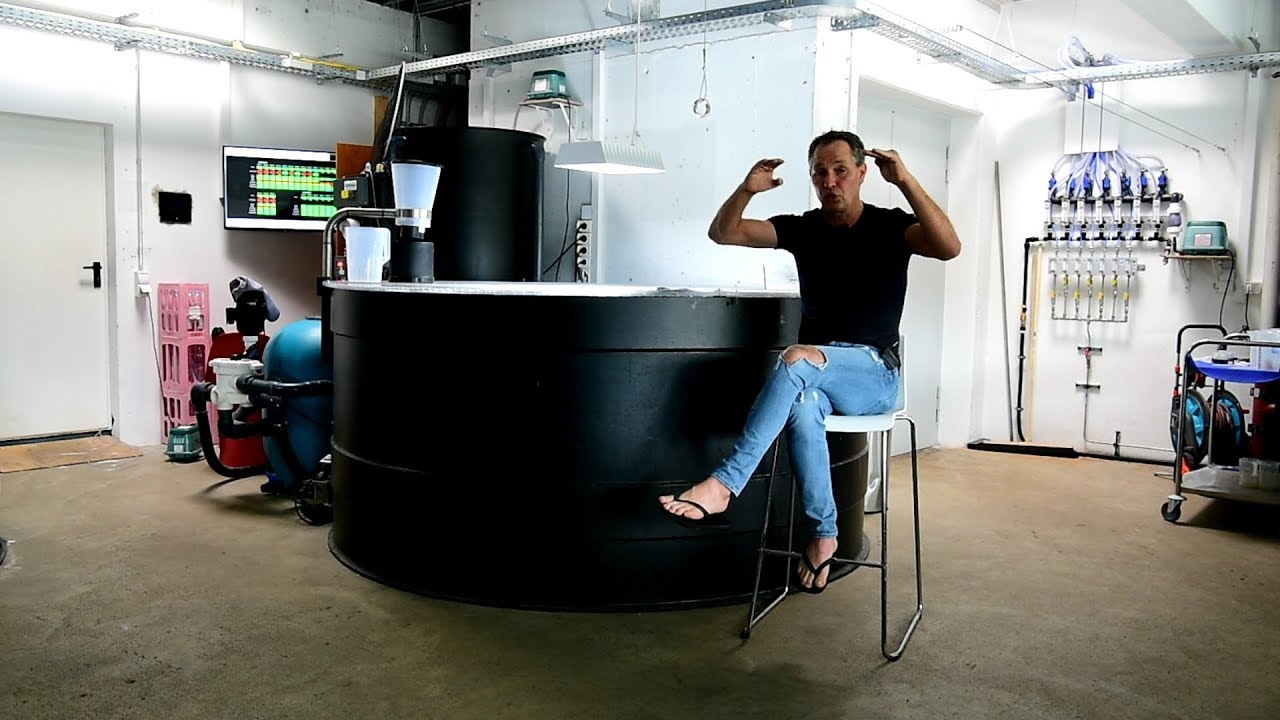 Modern Koi Blog #1805 - Wie lange &uuml;berleben Filterbakterien