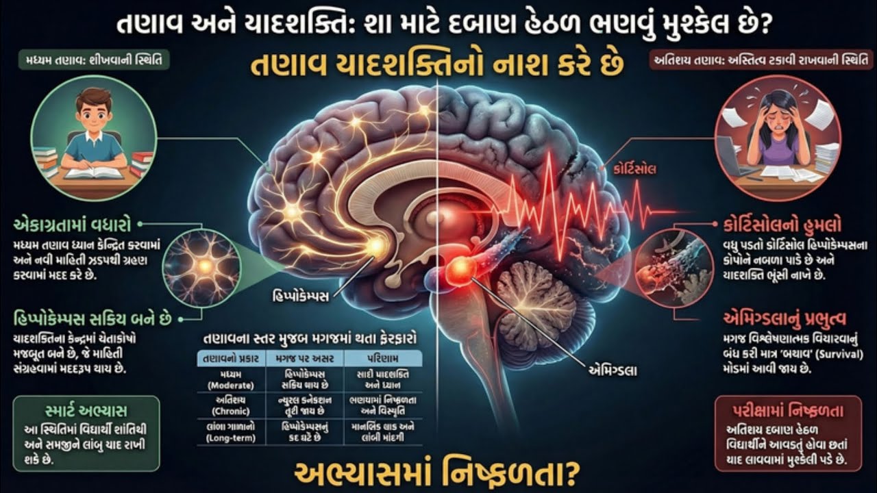 6️⃣ તણાવ અને યાદશક્તિ શું છે તે જાણીએ.