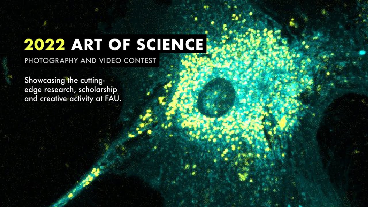 2022 ART OF SCIENCE PHOTOGRAPHY AND VIDEO CONTEST