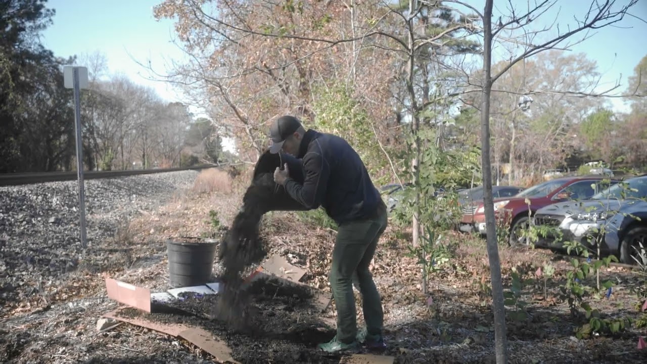 How to install a pocket forest
