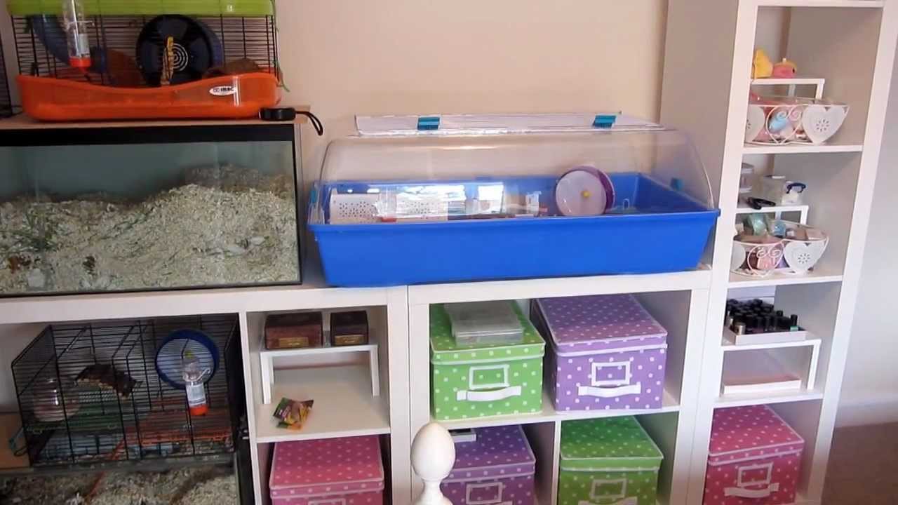 Normans Zoo Zone 2 Cage Tour