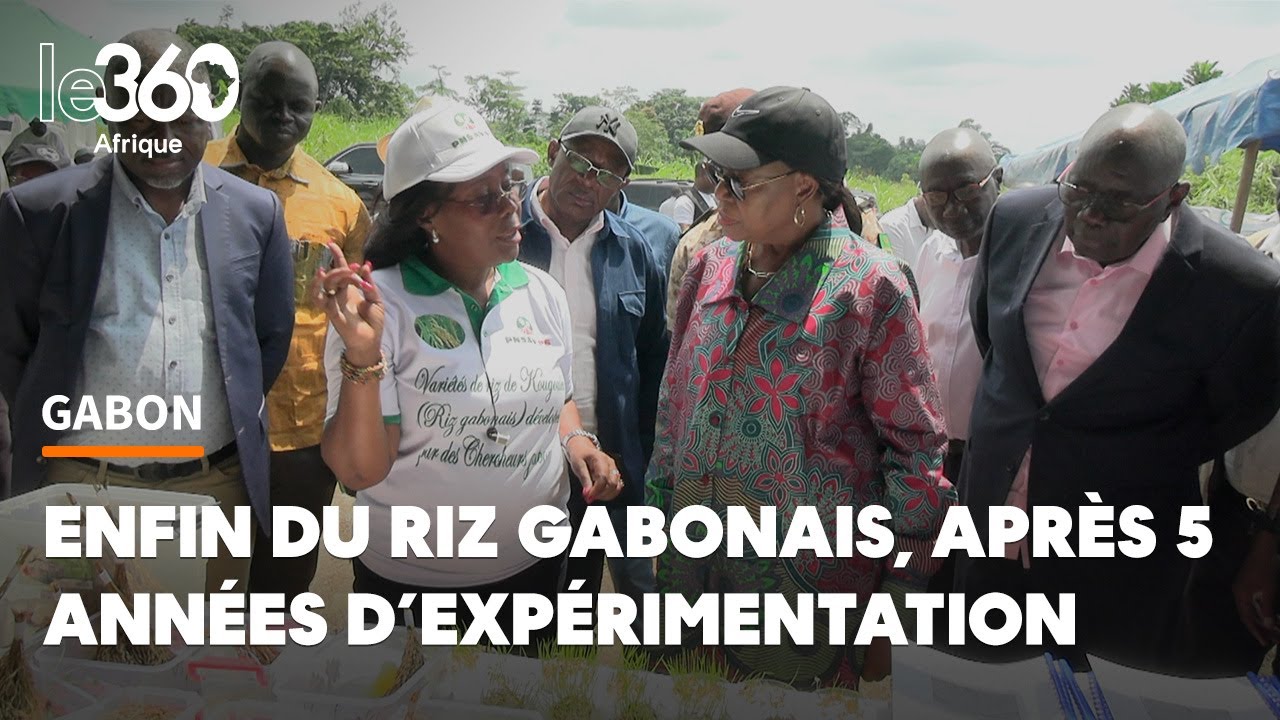 Le Gabon se lance dans la production de semence de riz