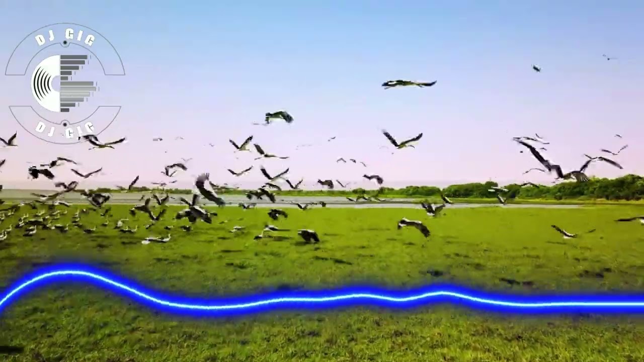 EuroDance Runaway Love AI Music Relaxing Videos