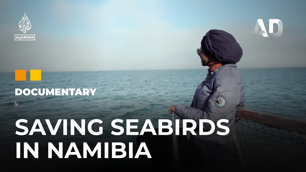 Sleeping on Water: A marine biologist in Namibia | Africa Direct Documentary