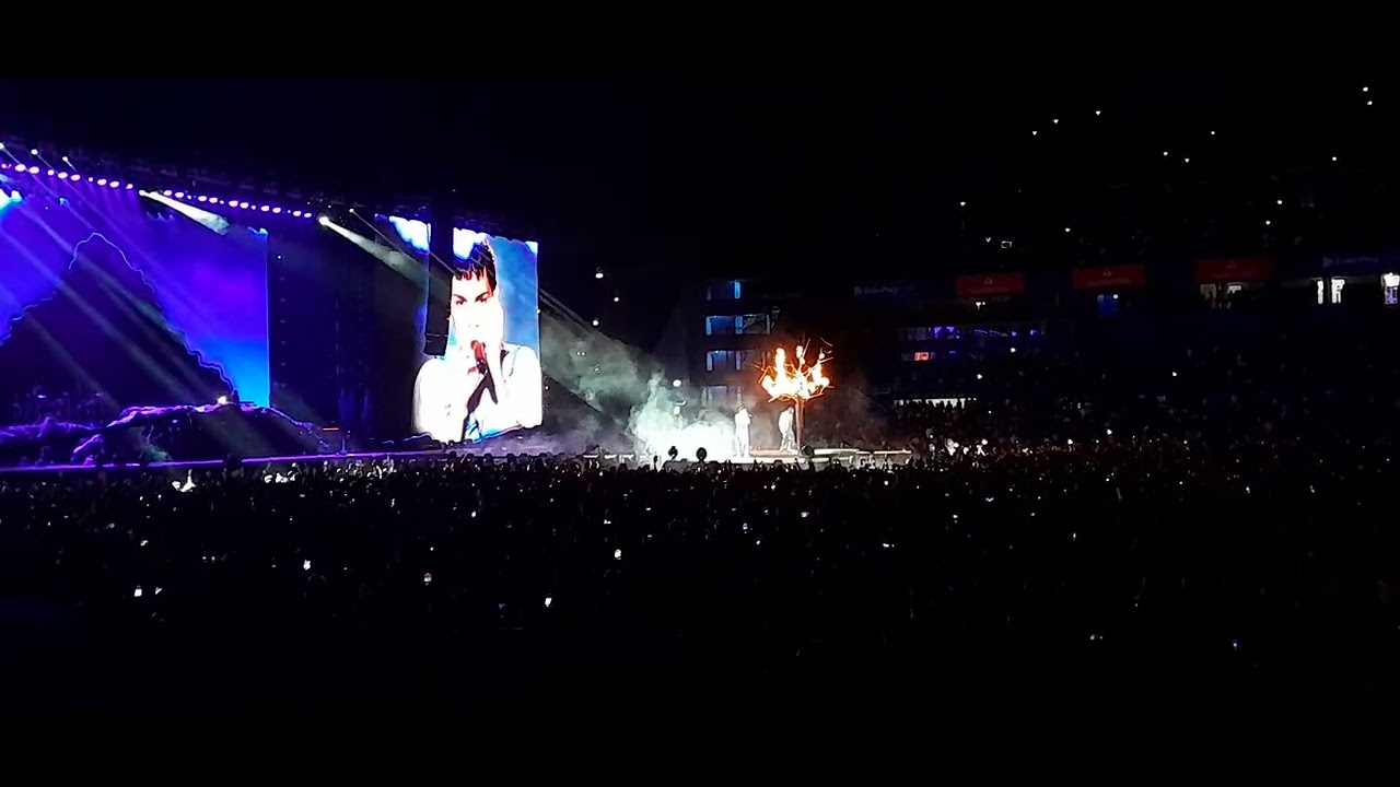 No no - Milo J - velez 2025