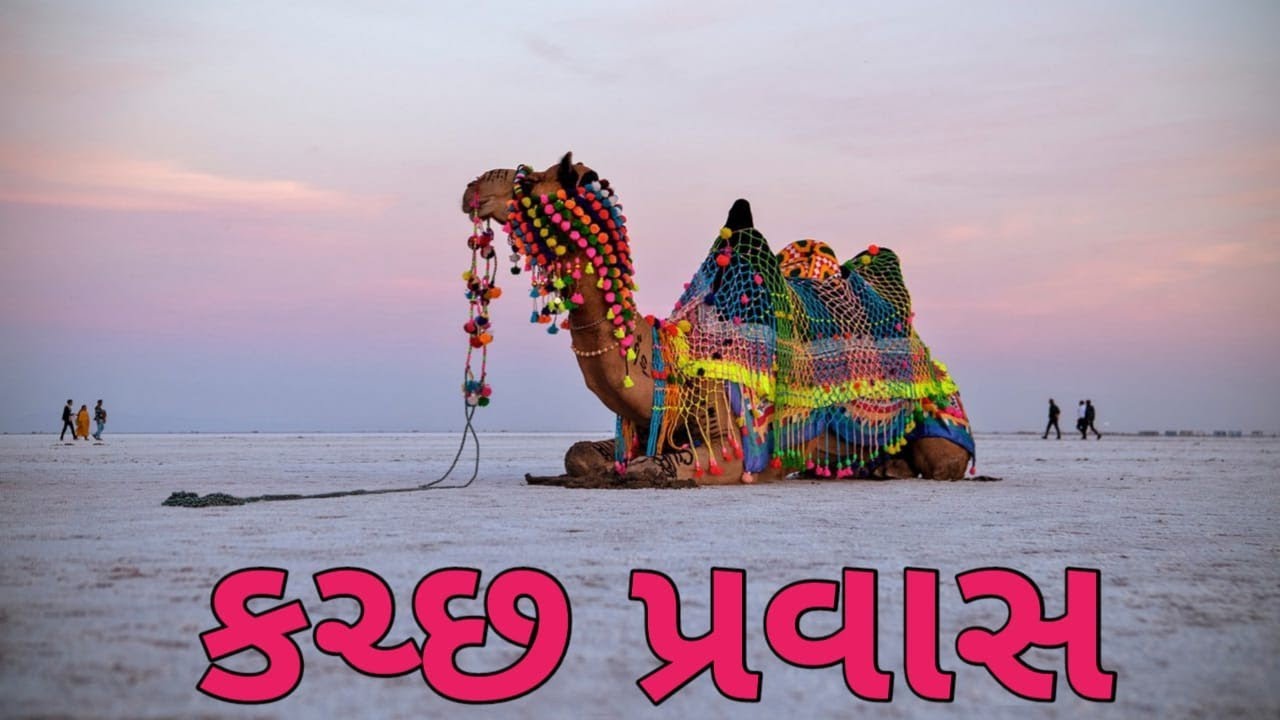  My school MPS-2 || કચ્છ પ્રવાસ 2025 -'26