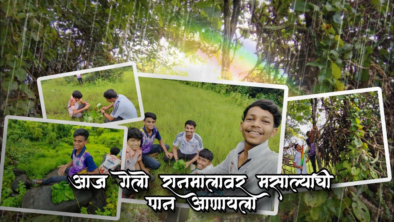 आज गेलो रानमालावर मसाल्याची पानं आणायला 🌳😃 | Traditional kokan | भोईरवाडी तळा|