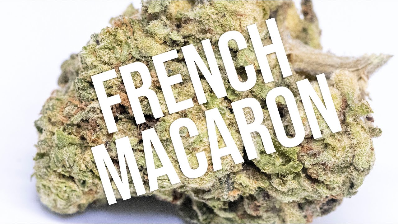 French Macaron