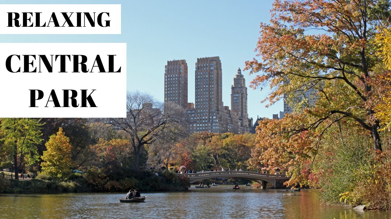 [4K] NEW YORK CITY - WALKING AROUND CENTRAL PARK #manhattannewyork #brownandbeachy