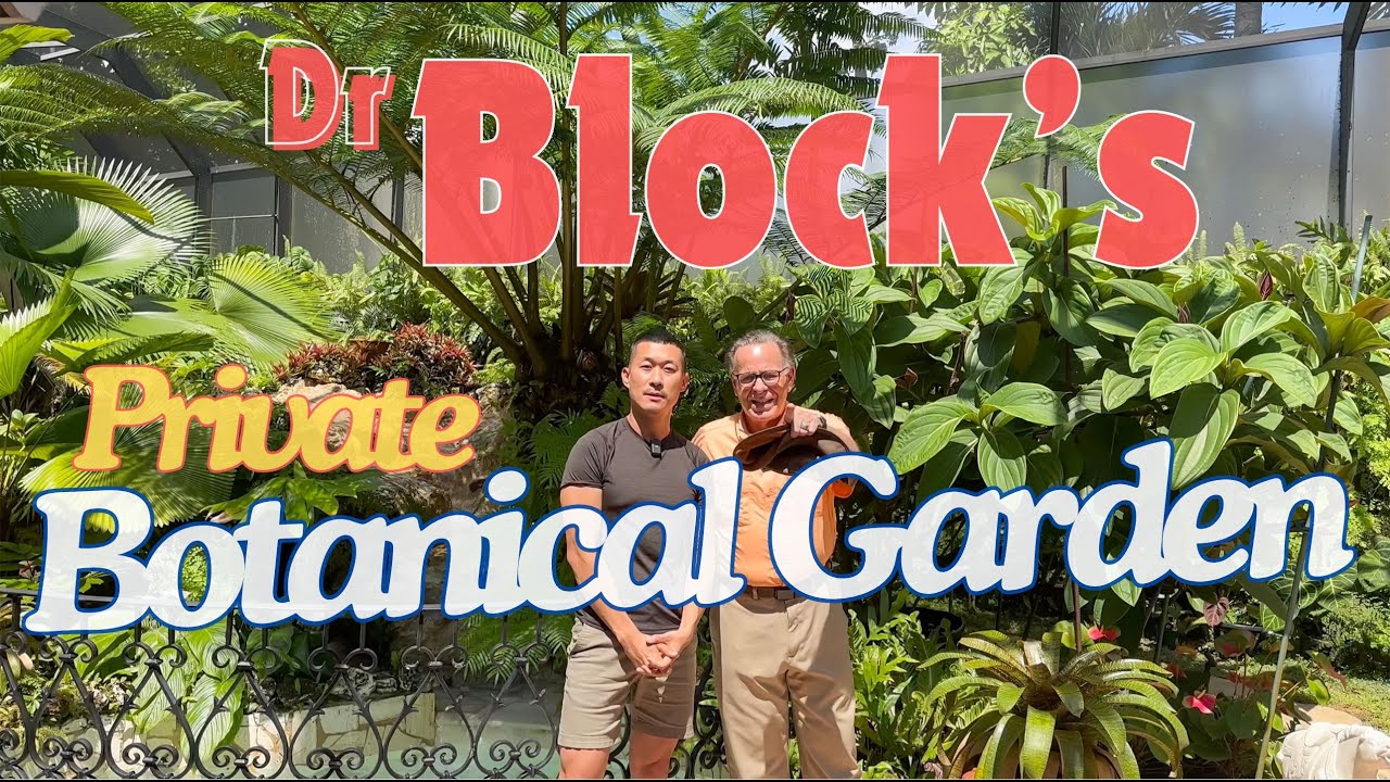 Dr BLOCK&rsquo;s Plant Collection, Advanced Care Tips, and Botanical Philosophy