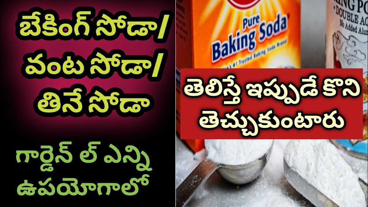 57.Baking soda for plants - baking soda in garden - baking soda hacks.