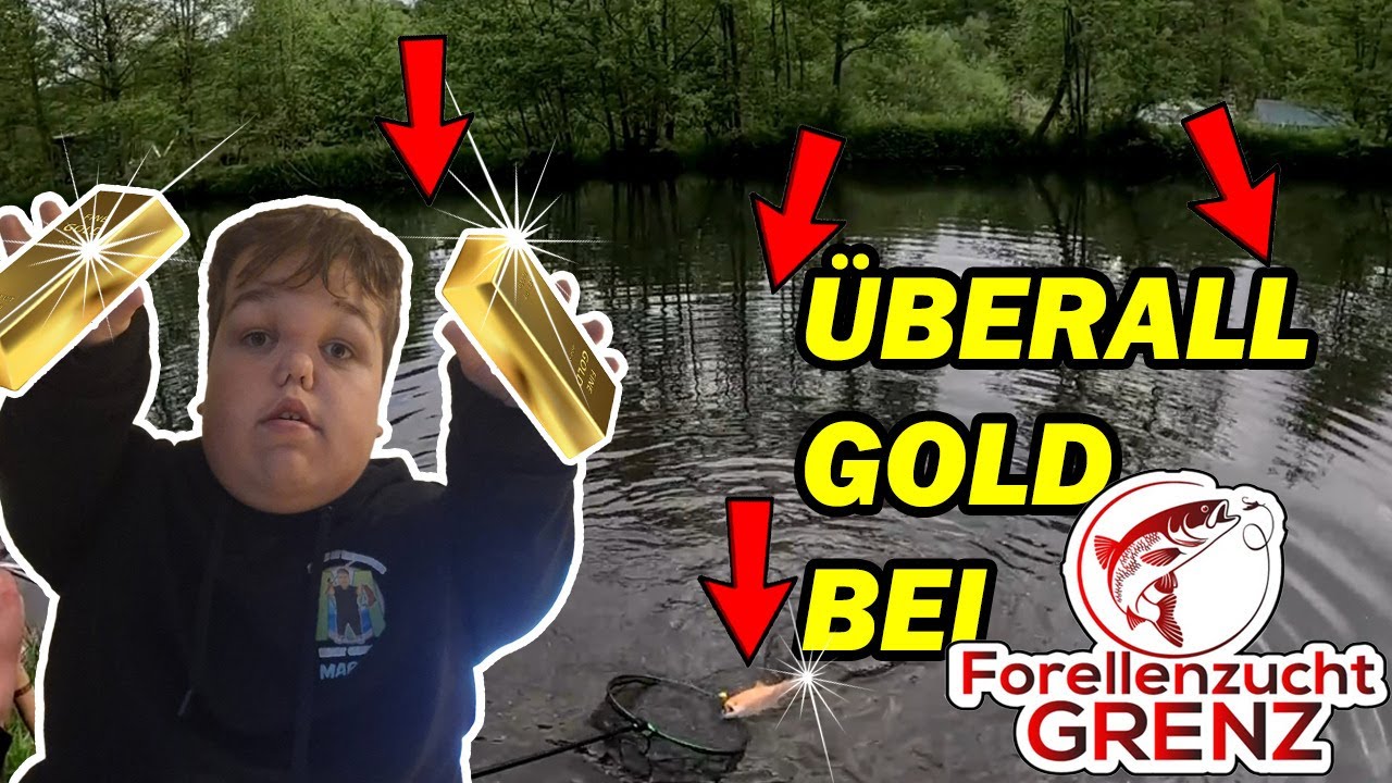 Goldrausch bei der Forellenzucht Grenz