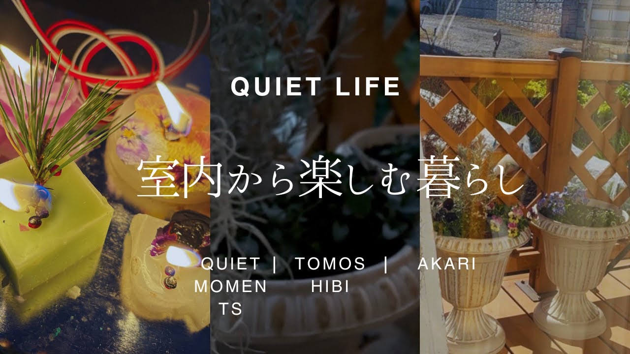 室内から楽しむ暮らし｜灯りと植物と猫のいる日常