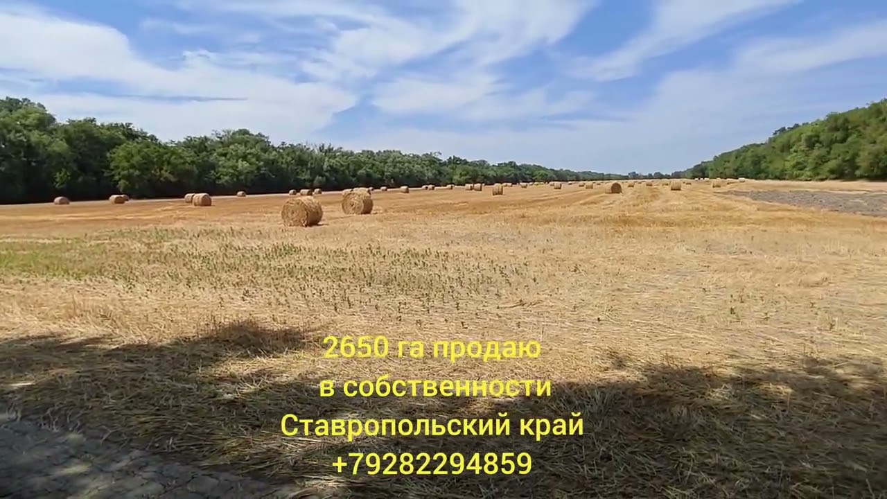 Продаю земли и сельхозпредприятия Ставропольский край, Краснодар, Ростов-на-Дону. т.+79282294859