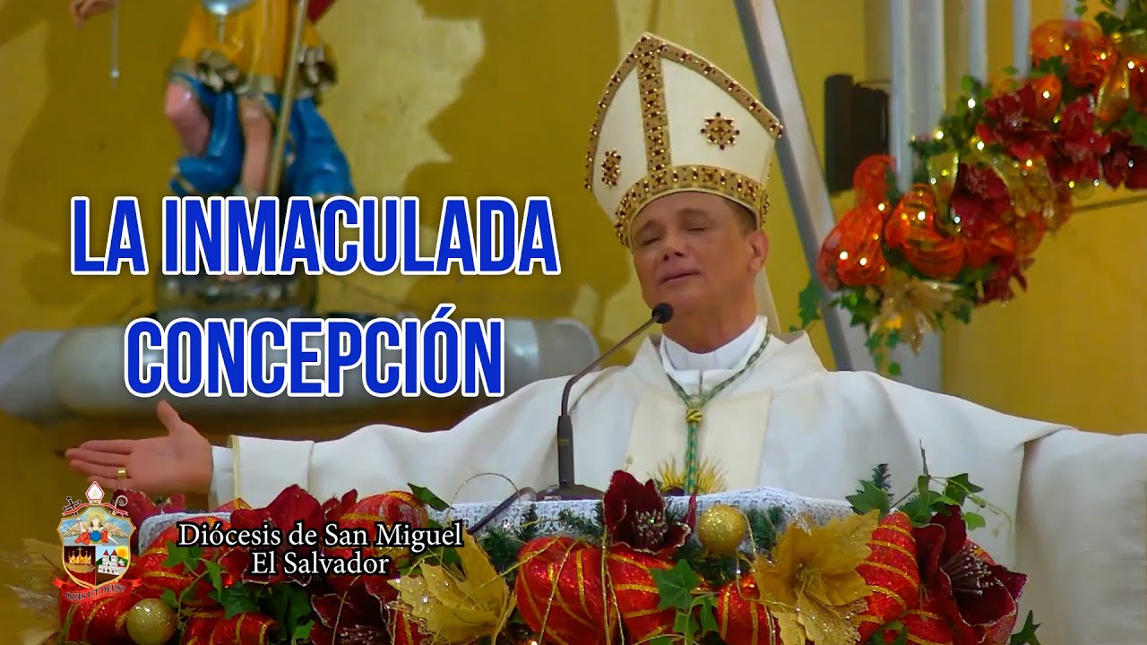 ¡Sin mancha de pecado!  -  Mons. Fabio Colindres