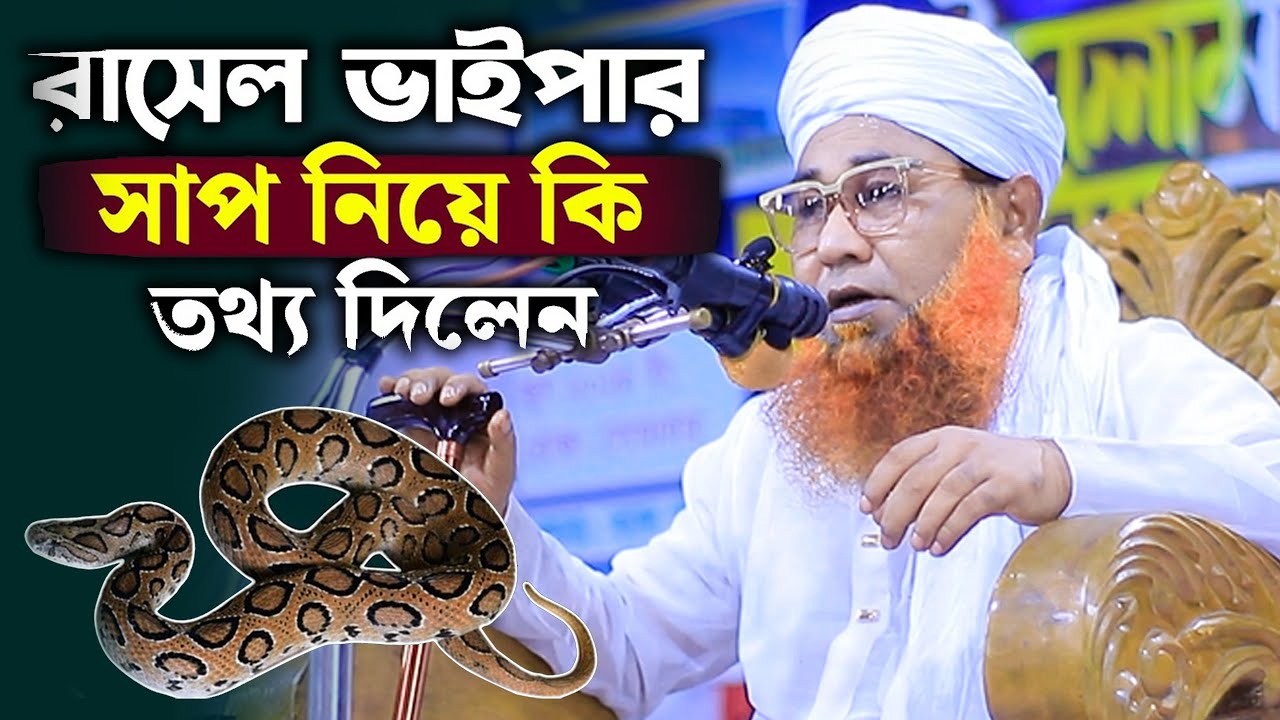 রাসেল ভাইপার সাপ নিয়ে কি তথ্য দিলেন শায়েখ আজিজুল ইসলাম জালালী নতুন ওয়াজ । Azizul Islam Jalali Waz