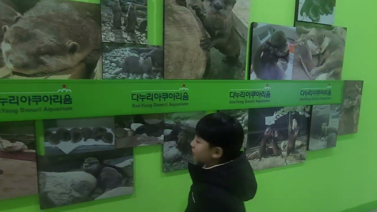 단양 다누리아쿠아리움을 가다 2편 26.02.18