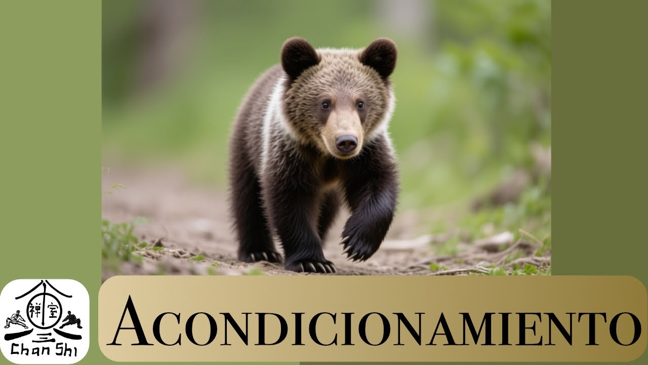 Animales en el kung fu 2  #ejercicio #acondicionamientofísico