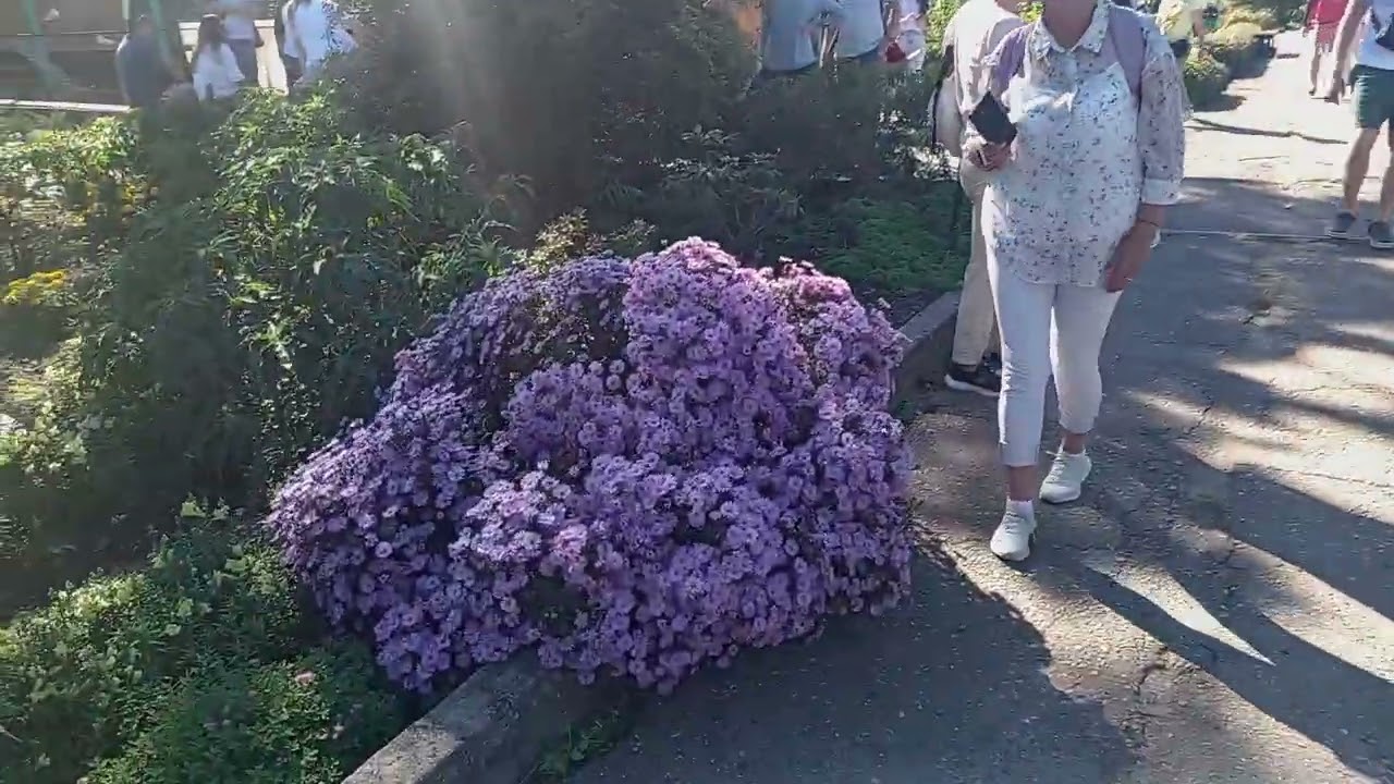Ботанический сад в г. Владивостока 1 часть