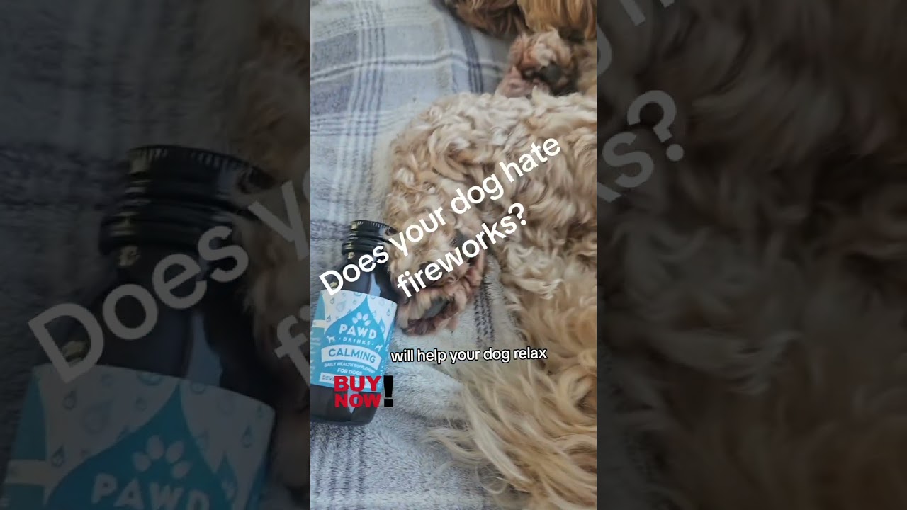 Pawd's calming solution for dogs  