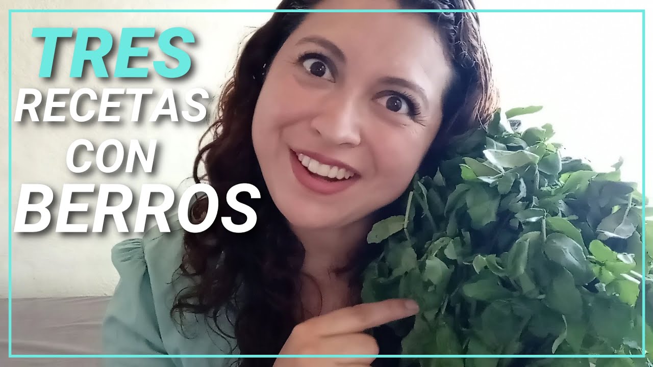 Cómo preparar Berros. 3 recetas: agua, crema y ensalada de berros y cómo conservarlos por más tiempo