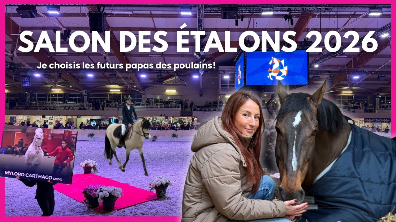 JE VOUS EMMÈNE AU SALON DES ÉTALONS ET JE CHOISIS MES FUTURS POULAINS 🤩