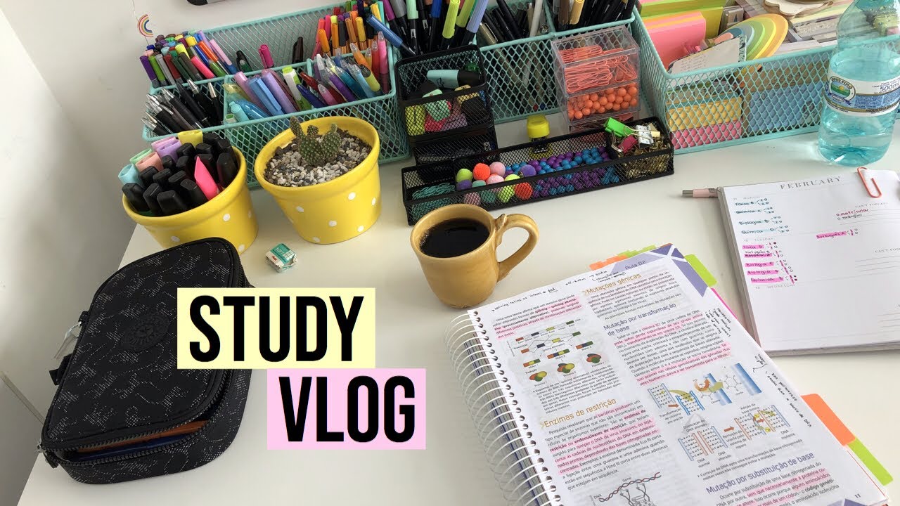 STUDY VLOG | StudyTiips