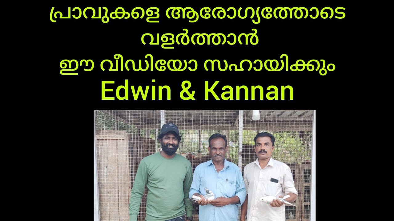 Edwin and Kannan Marthandam loft visit part 1