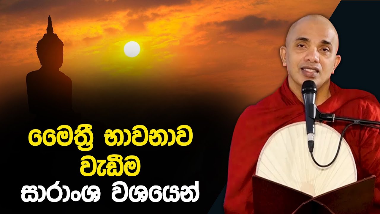 මෛත්‍රී භාවනාව වැඩීම සාරාංශ වශයෙන් | Ududumbara Kashyapa Thero | Vidarshana I 2022.06.03